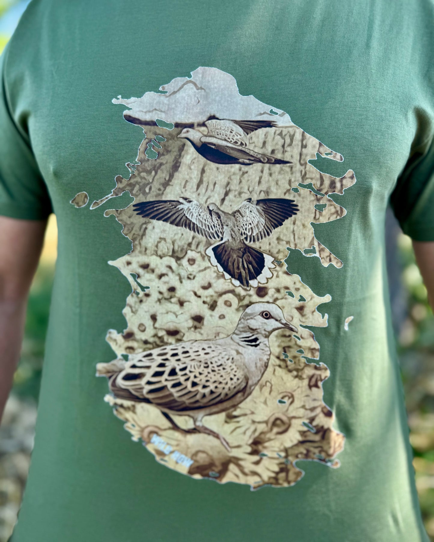 #TURTLEDOVEPASSION _ PASSIONE TORTORA - MOMENTI DI CACCIA